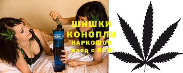марки lsd Белокуриха