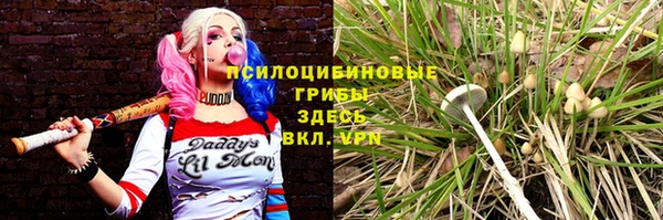 спиды Богородицк