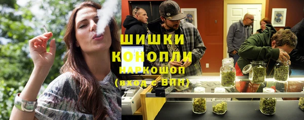 спиды Богородицк