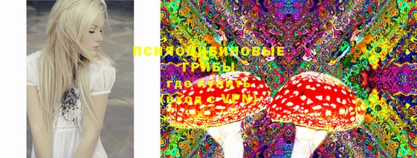 марки lsd Белокуриха